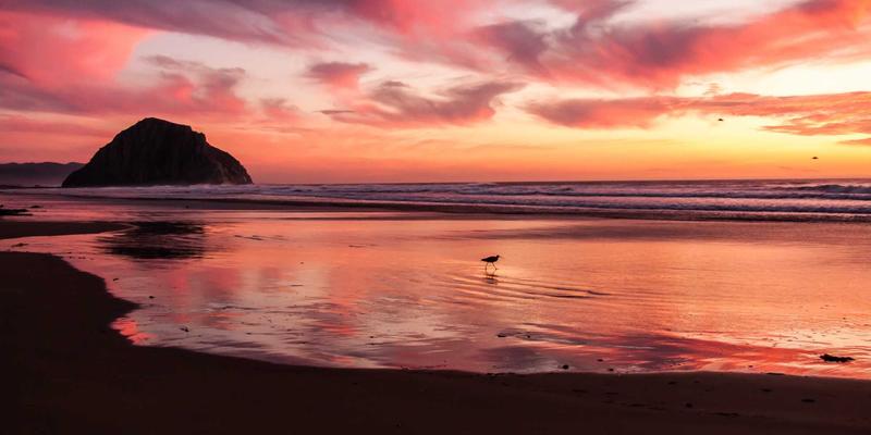 Odile Mora:当复古美学邂逅可持续生活,定义新时代的优雅哲学