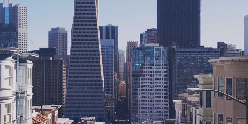 从个人博客到园艺网红:解码Odile Mora的社交媒体营销策略