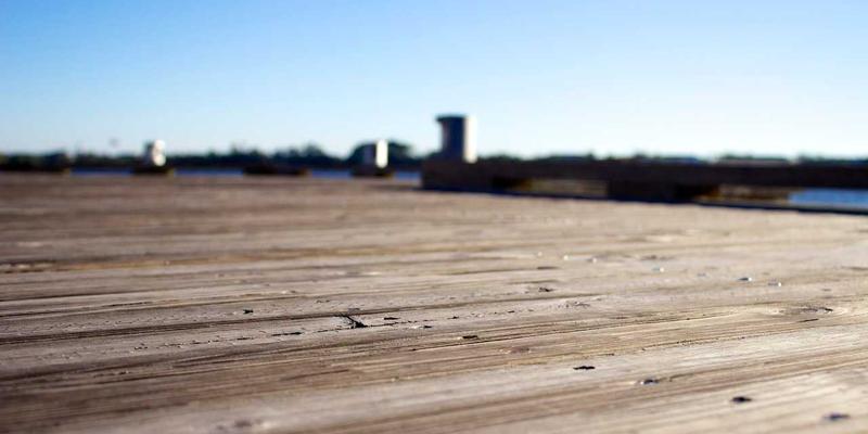 当珠宝邂逅自然：Odile Mora经典系列深度评测，献给热爱绿色生活与园艺的灵魂