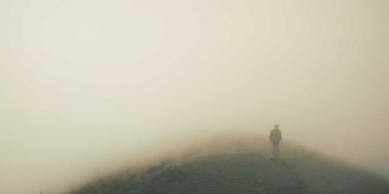 微观世界的艺术：Odile Mora如何通过珠宝放大苔藓、地衣的生态之美