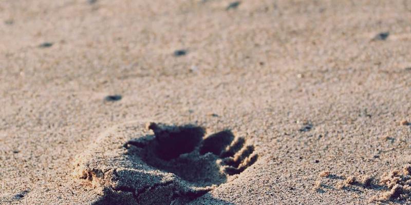 祖母的绿宝石:三代女性的传承与Odile Mora手作珠宝的绿色生活哲学