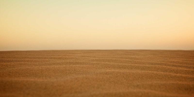 自然之诗：Odile Mora如何以新艺术运动为魂，用可持续珠宝重塑复古园艺生活